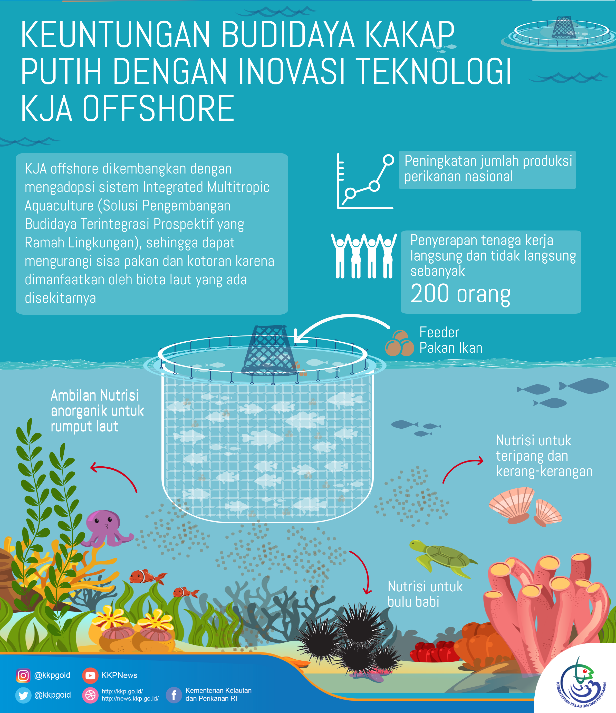 Keuntungan Budidaya Kakap Putih dengan Inovasi Teknologi KJA Offshore - 20180424